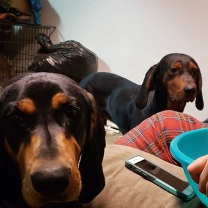 Meet your Posher, Jeff